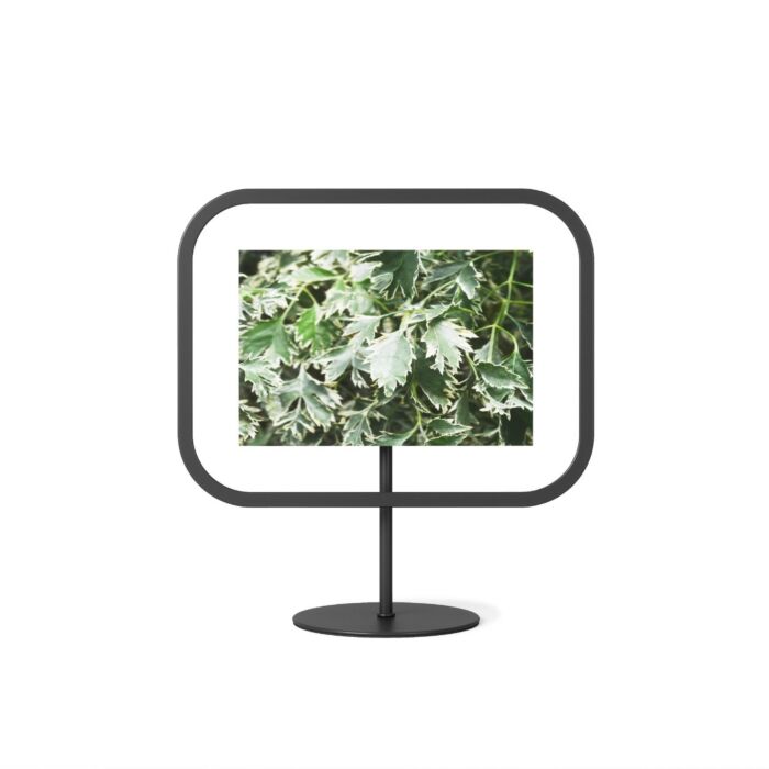 Umbra - Infinity Square Picture Frame - Black